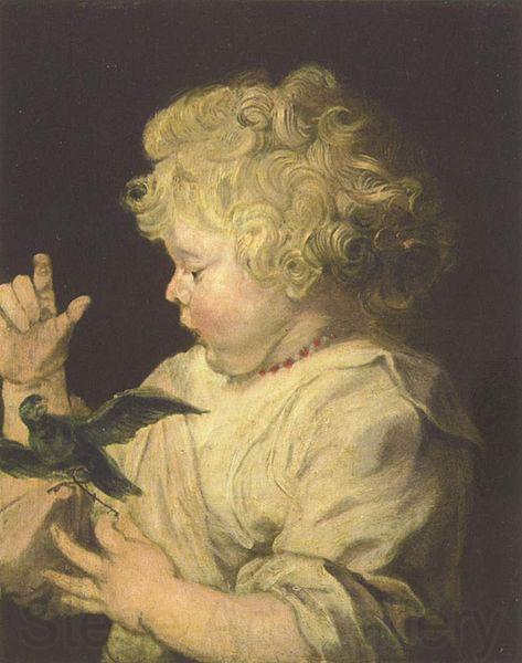 Anthony Van Dyck Portrat eines Kindes mit Vogel Norge oil painting art